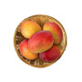 Hff Kalbathoor Mango 3.25Kgs