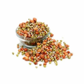 Hakimi 400Gm Mixed Sprouts 1Pk. Kuwait