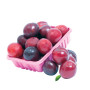 Hff Plum 1Box. Syrian