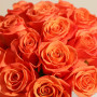 Amr Orange Rose 1Kg