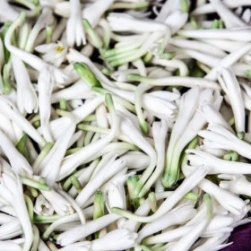 Amr Sampangi Flower 1Kg