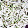 Amr Sampangi Flower 1Kg