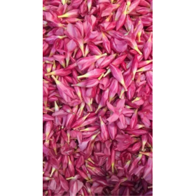 Amr Arali Flowers 1Kg