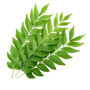 Amr Curry Leaves 1Kg