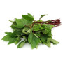 Amr Gongura Leaves 1Kg
