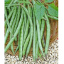 Amr Lobia-Cow Pea 1Kgs