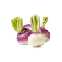 Hff Shalgam / Turnip 1Kg. Saudi