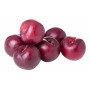 Hff Plum 1Box. Egypt