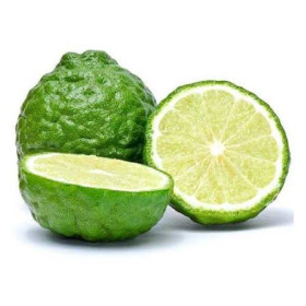 Hff Lime Kaffir 1Pkt. Thailand