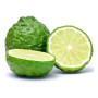 Hff Lime Kaffir 1Pkt. Thailand