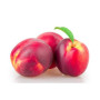 Hff Nectarine 1Box. Egypt