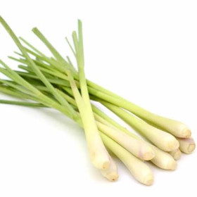 Hff Lemon Grass 1Kg. Thailand