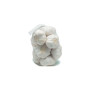 Hff Garlic Bag 350Gm
