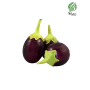 Hff Brinjal 1Kg. Saudi