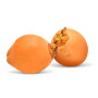 Hff Coconut 1Pc. Srilanka