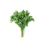 Bl Baqdonus 1Pc