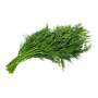 Bl Suvva-Dill Leaves 1Pc