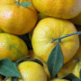 Hff Affandi 1Kg. Lebanon