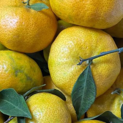 Hff Affandi 1Kg. Lebanon