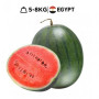 Hff Watermelon 1Kg. Egypt