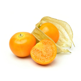 Hff Physalis-Ground Cherry 1Box
