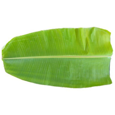 Hff Banana Leaves 1Pc