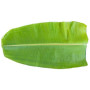 Hff Banana Leaves 1Pc