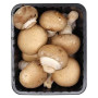 Hff Brown Mushroom 1Pkt. Kuwait