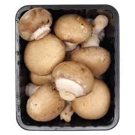 Hff Brown Mushroom 1Pkt. Kuwait