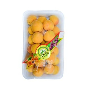 Hff Fresh Turkey Apricot Big 1Box. Turkey
