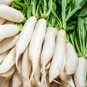 Bl Muli-White Radish 1Kg