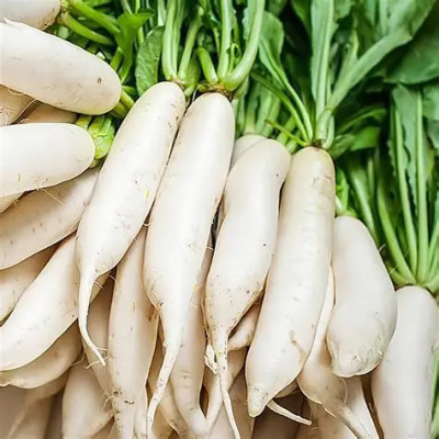 Bl Muli-White Radish 1Kg