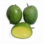 Hff Rajapuri Mango 1Kg