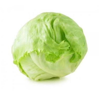 Hff Iceberg Lettuce 1Kg. Spain