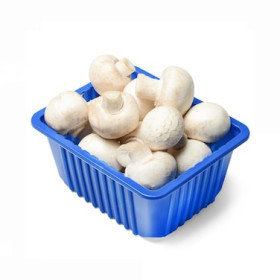 Hff Mushroom 250G. Irani