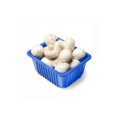 Hff Mushroom 250G. Irani