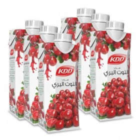 Kdd Cranberry Juice 250Ml X 6