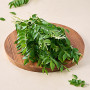 Fresh Curry Leaves 1Kg