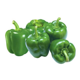 Hff Green Capsicum 1Kg. Jordan