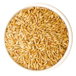 Burhan Barley with Skin, India, 1 kg