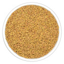 Burhan Bold Fenugreek - Methi Seeds 1Kg. India