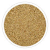 Burhan Carom Ajwain Seeds 1Kg