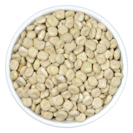 Burhan Lupini Beans (Turmus), Egypt, 1 kg