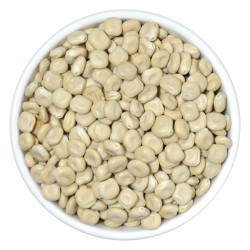 برهان كركم بودرة 1 كغ