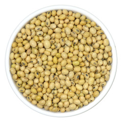 Burhan Whole Soybeans 1kg