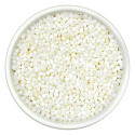 Burhan Medium Sago Seeds 1Kg