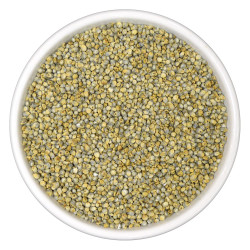 Burhan Whole Bajra 1kg