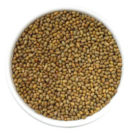 Burhan Moth Beans, 1 kg