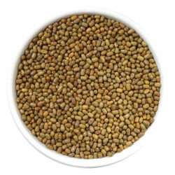 فول برهان 1 كغ