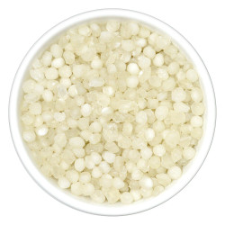 Burhan Big Sago Seeds (1 kg)